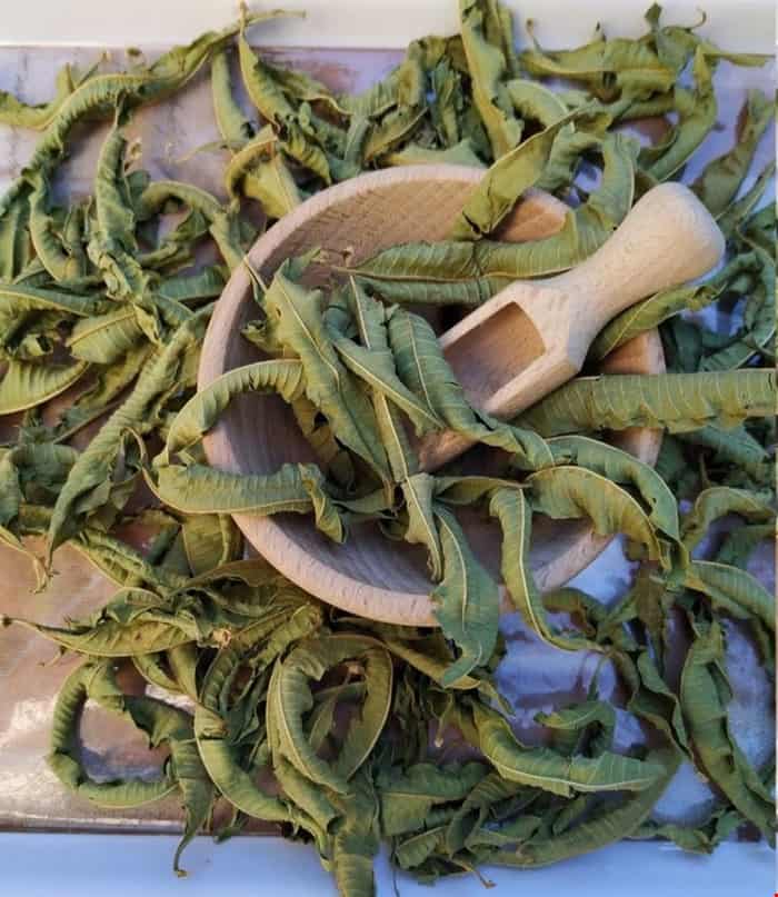 خرید و قیمت دمنوش به لیمو + فروش عمده